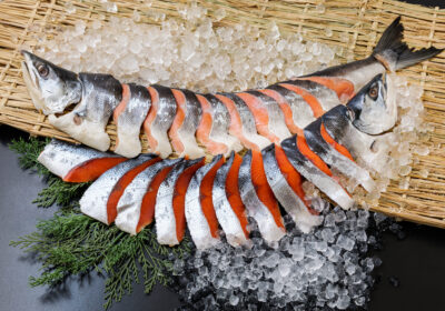 【氷蔵藁製法】 天然無添加　紅白鮭姿切身　約2.0kg